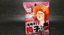 RIBON «Doumyoji Umeko Soft Candy» жевательные конфеты с кислой начинкой, вкус сливы, 70 гр.
