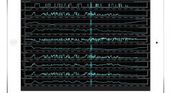 EDash - Электронная приборная панель