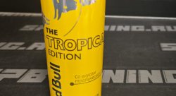 Энергетический напиток Red Bull  тропические фрукты, 250мл