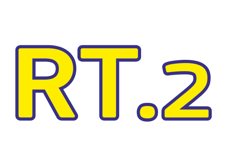 Колодки тормозные DC1547E16 DC Brakes RT.2 задн. AUDI RS5; RS7; S7; S6; PORSCHE MACAN